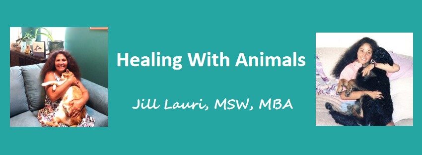 Healing With Animals